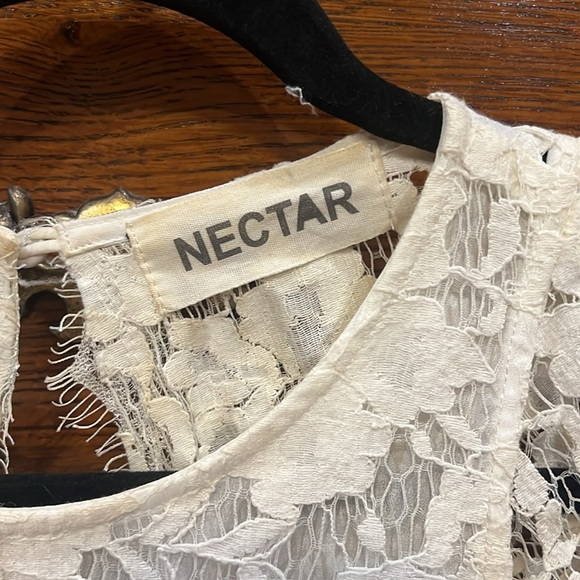 Nectar Lace Dress - Picture 3 of 8